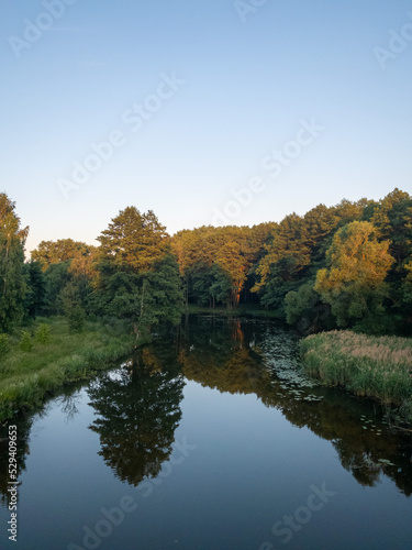 autumn trees reflected in water