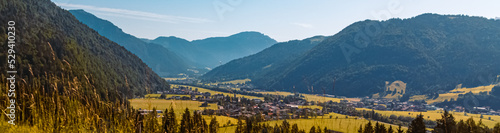 Beautiful alpine summer view near Kirchdorf, Wilder Kaiser, Tyrol, Austria photo