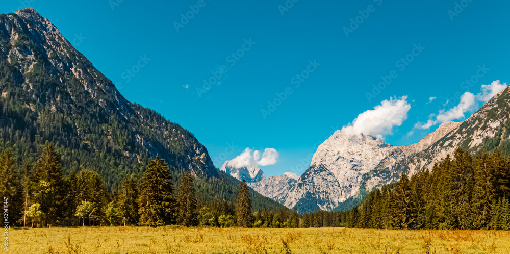 Beautiful alpine summer view at the famous Gern Alm, Achensee, Tyrol, Austria