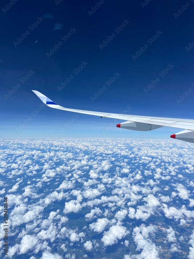 Fototapeta premium airplane in the sky