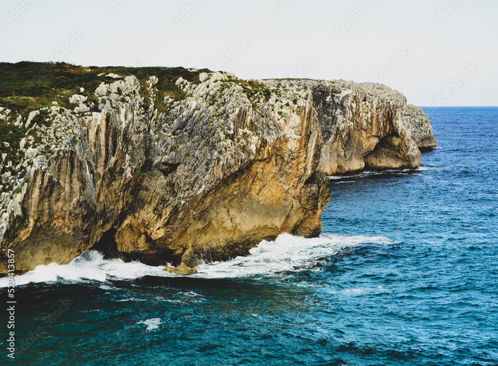 La vida en el mar