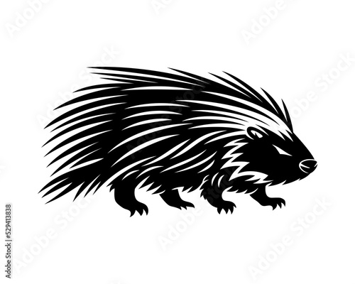 Foto Animal porcupine icon isolated on white background.