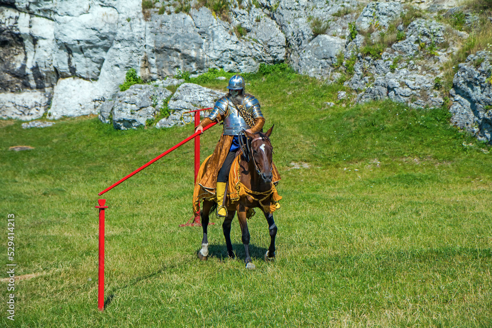 Knight in armor of hussar legion in Ogrodzieniec Castle Knight in armor of hussar legion in Ogrodzieniec Castle