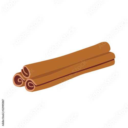 Cinnamon sticks isolated on white background. Spice vector illustration