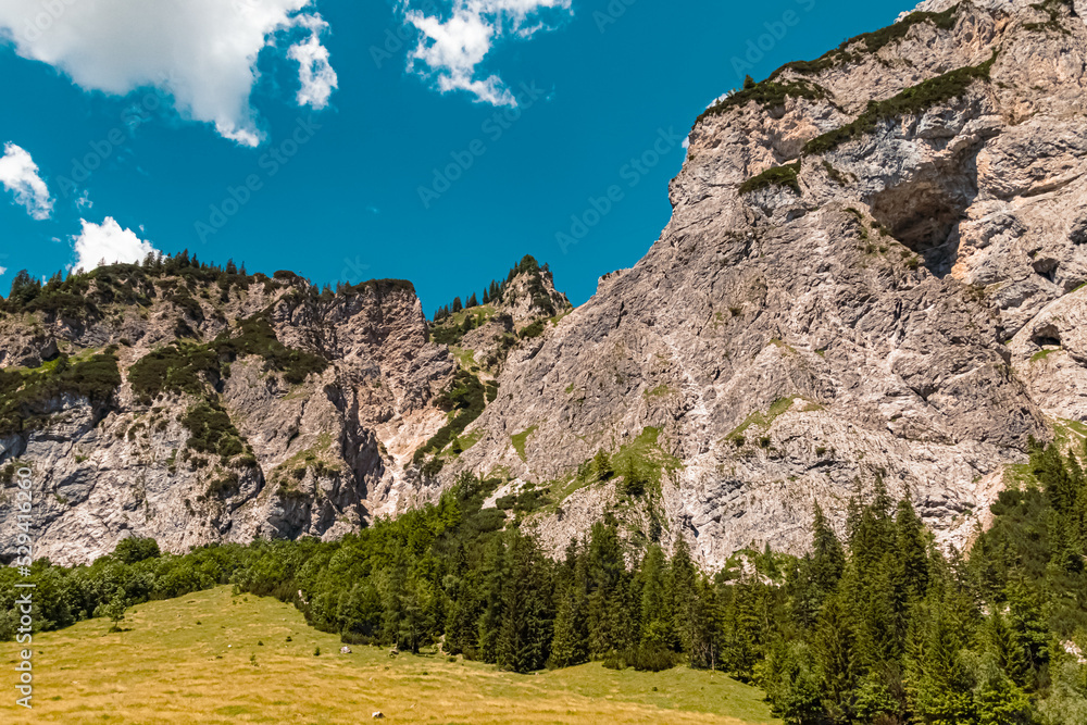 Beautiful alpine summer view at the famous Gramai Alm, Achensee, Tyrol, Austria