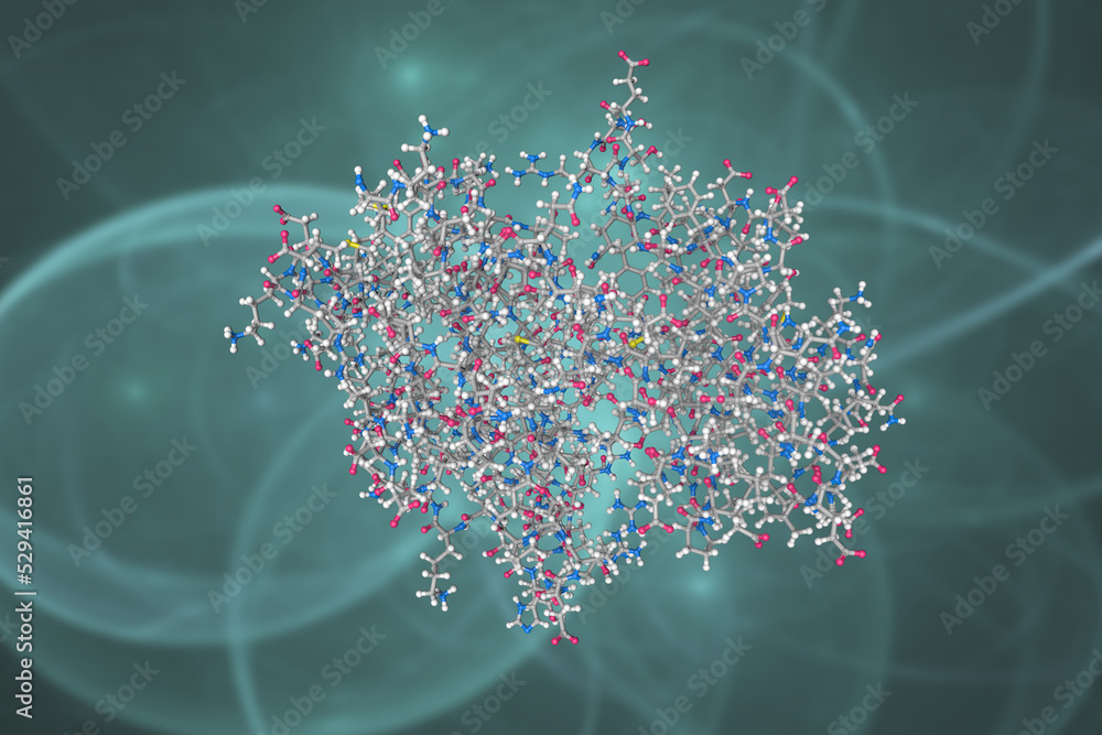 CMP kinase of Streptococcus pneumoniae. Atoms are shown as spheres with ...