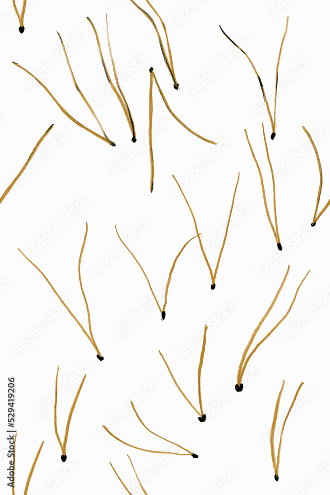 Nature seamless pattern pencil illustration. Dried scots pine needles isolated on white background. Nature seamless pattern pencil illustration. Dried scots pine needles isolated on white background.