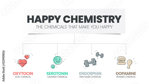 Happy Chemistry infographic has 4 types of Chemical hormones such as Oxytocin (Love), Serotonin (Calming), Dopamine (Reward) and Endorphin (Pain Killer). Happy chemicals concept. Presentatation slide.