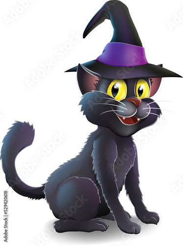 Halloween Witch Cat