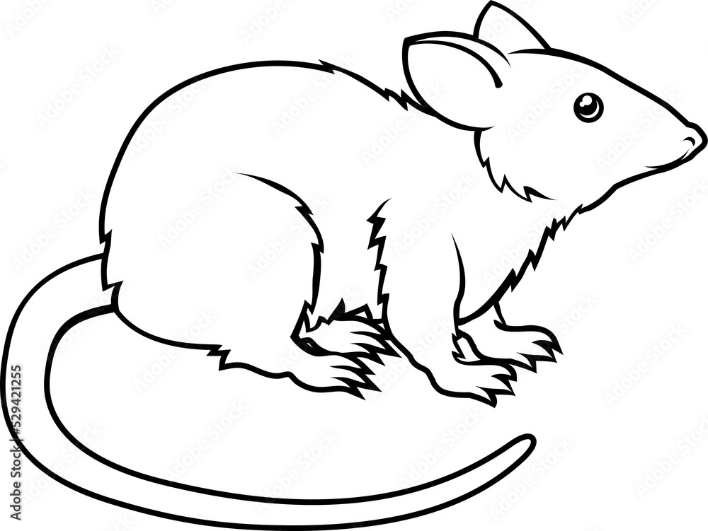 Stylised rat illustration Stylised rat illustration