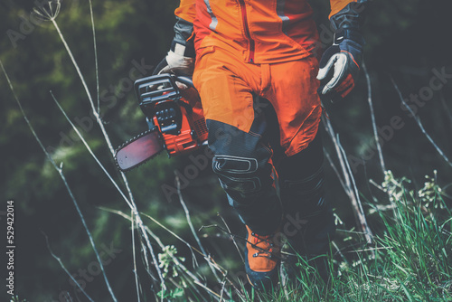 Quadro em tela Close up view of an hand holding a chainsaw
