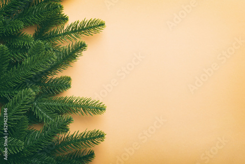 Christmas holiday background with copy space for advertising text. Fir branches on color background . Flat lay  top view