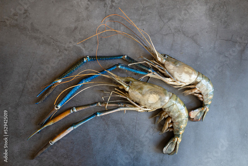 Large scampi shrimp on a black background. photo