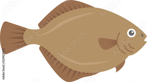 Flatfish Sea Fish photo