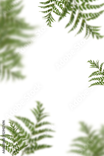 Blätter Overlays png zur kreativen Bildbearbeitung