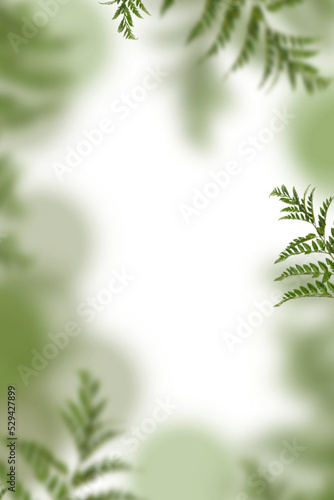 Blätter Overlays png zur kreativen Bildbearbeitung