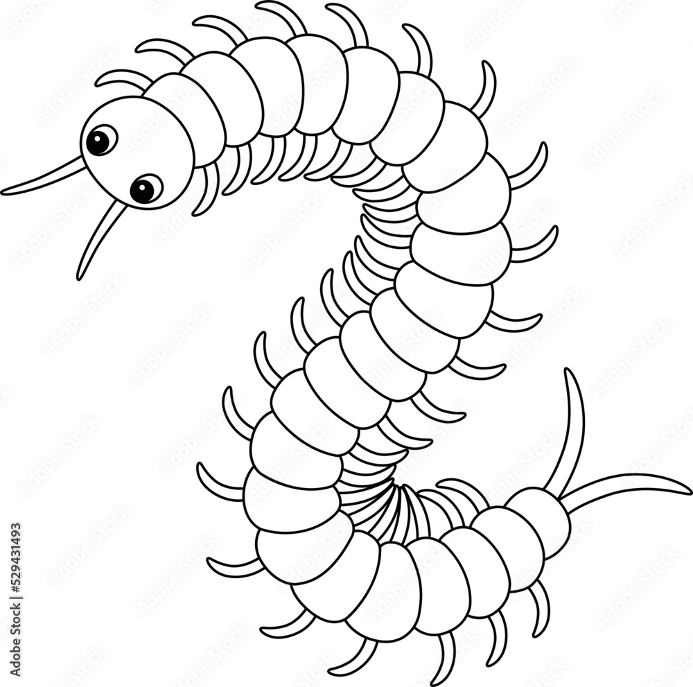 Centipede Animal Isolated Coloring Page for Kids Stock Vector | Adobe Stock