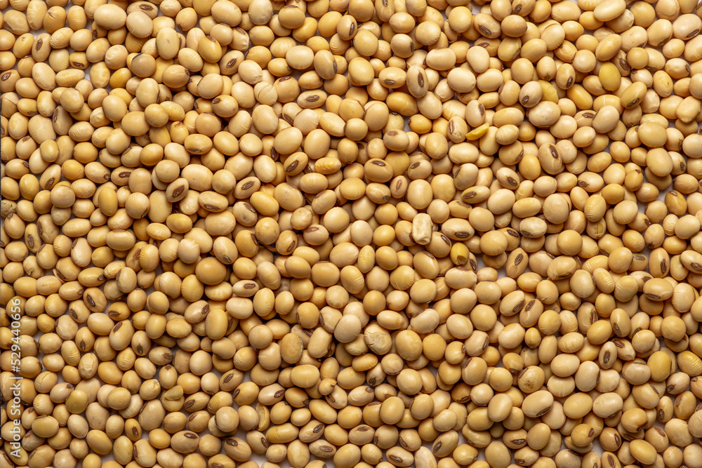 Heap of soy as background, top view Heap of soy as background, top view