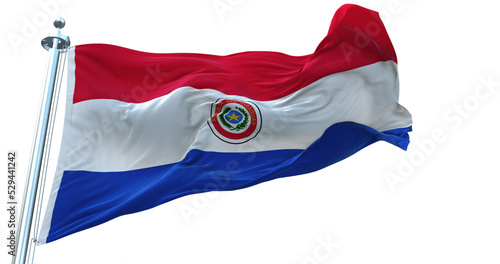 Paraguay flag on transparent background 4k