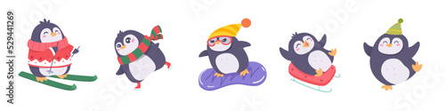 Winter activity of cute penguin characters set, baby animals with hat, scarf and sweater