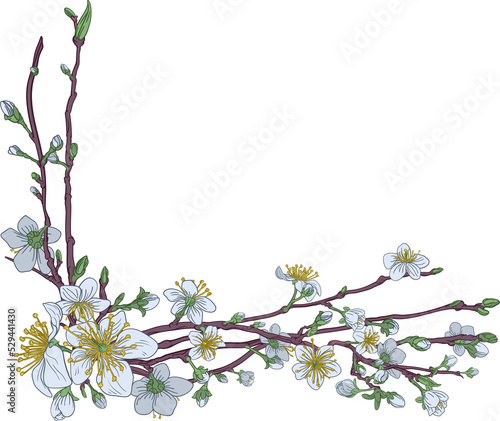 Peach Cherry Blossom Flower...