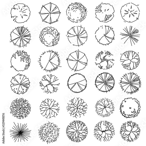 Hand-drawn planting parts perfect for architectural drawings, sections, elevations, floor plans, post-digital drawings, architectural collages, 3D views and renderings