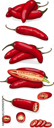 Set of red serrano Chile peppers. Whole, half, sliced and wedges of peppers. Chile serrano. Serrano chilis. Chili pepper. Vegetables. Cartoon style. Vector illustration isolated on white background.