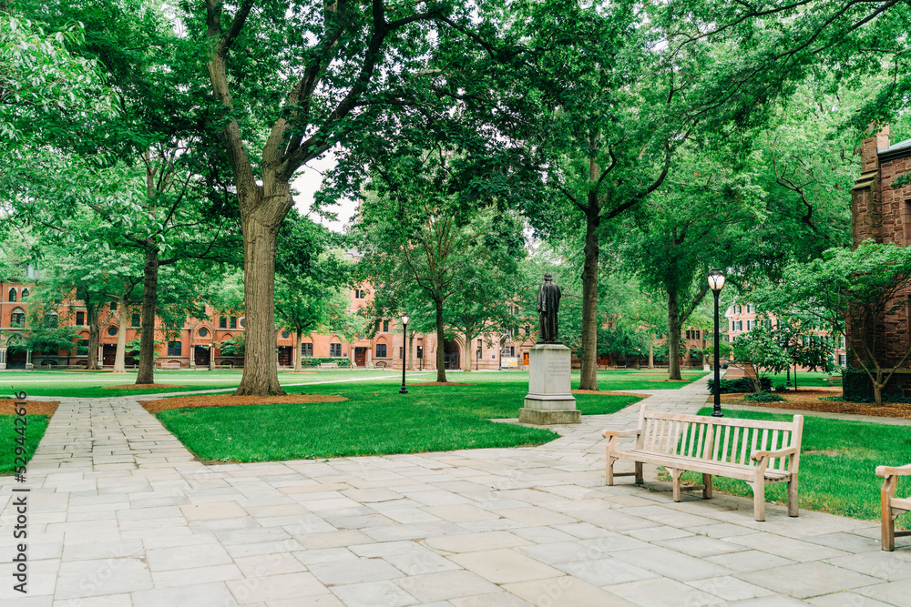 park in the city park in the city