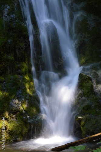 Madison Falls in Olympic National Park  Washington