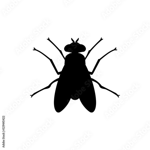 Fly Icon Silhouette Vector Illustration On White Background. Fly vector icon on white background. Flat vector fly icon symbol sign from modern animals collection for mobile concept and web apps design photo