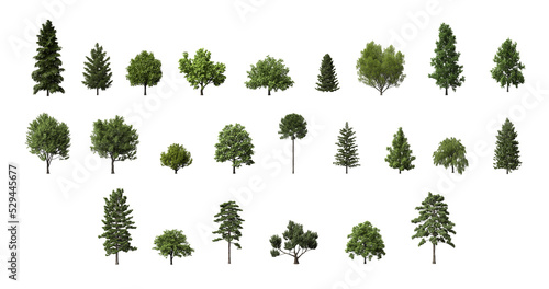 Set of Trees with transparent background. 3d rendering. multiple types. 