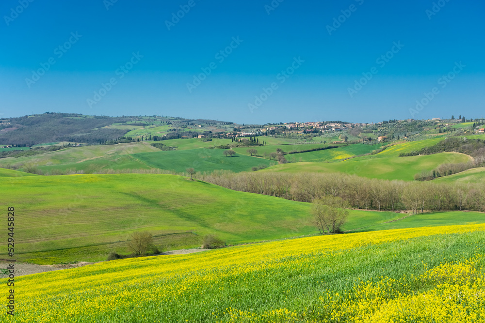 Beautiful green landscape of the Tuscanian countryside,  Italy