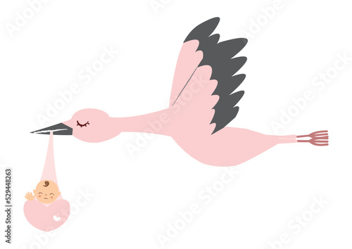 赤ちゃんを運んでいるコウノトリ