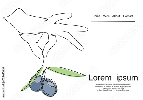 Hand holding a branch with olive-continuous one line