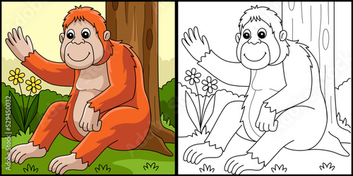 Orangutan Animal Coloring Page Illustration