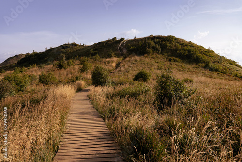 Trail on a ridge near Halicz (Bieszczady) photo