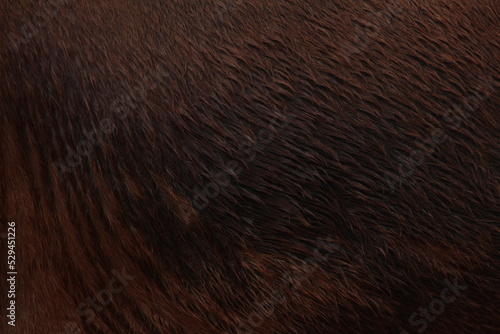 wet horse texture