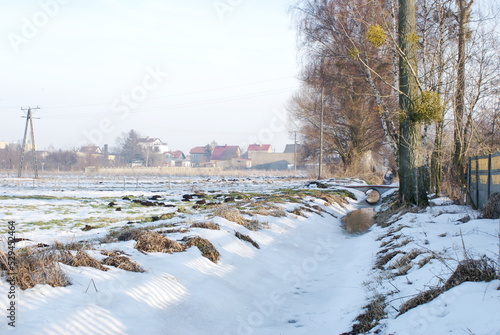 Winter viem of field - meadow. Grass covered by snow. photo