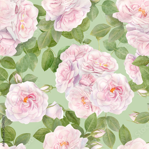 Hand drawn watercolor seamless pattern with pink rose flowers.