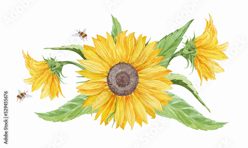 Realistic composition of watercolor sunflowers and leaves with bees for postcard, gift card, invitation, wedding menu, thanksgiving day; floral hand drawn illustration isolated on white background