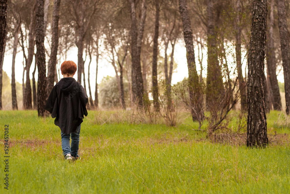 Niño en el bosque Niño en el bosque