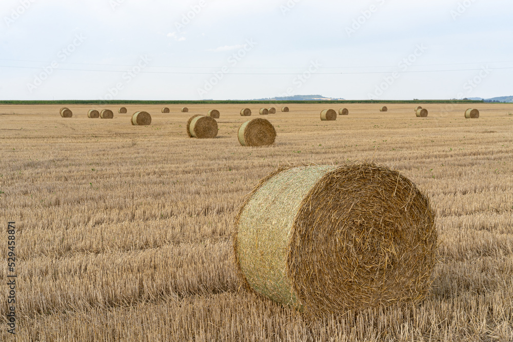 straw bales on stubble field