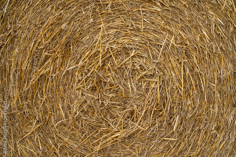 concentric straw bale structure background concentric straw bale structure background