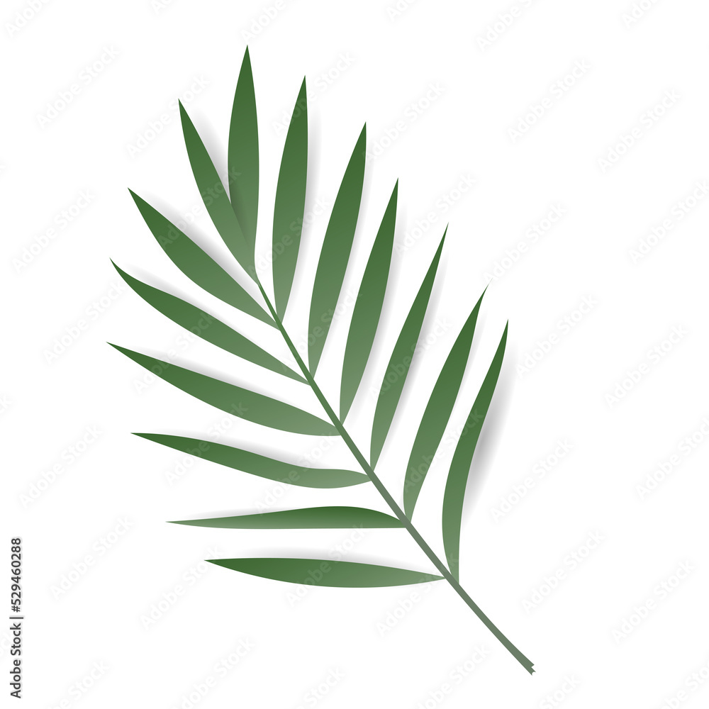 Fototapeta premium Tropical leaves. Monstera plant leaf, banana plants, and green tropical palm leaves. Jungle palms forest flora nature, Flat Modern design ,isolated background illustration