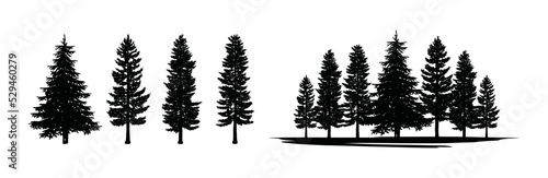 Pine trees forest symbol icon vector set. Silhouette pine trees 
