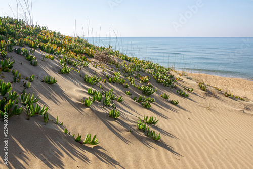 beach of sabaudia at circeo latina photo