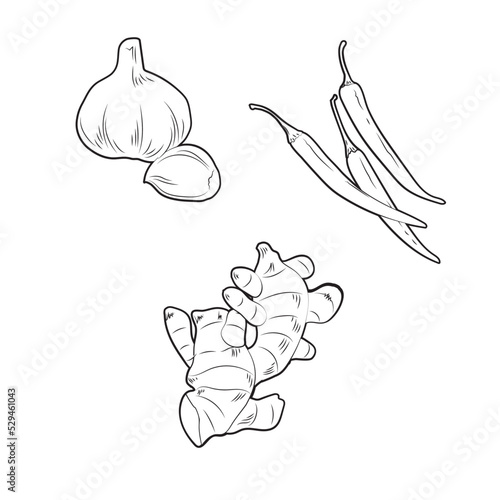 にんにく・しょうが・唐辛子　スパイス・薬味セット　線画　イラスト・素材