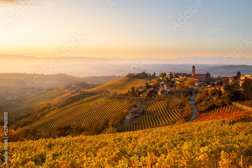 view of Treiso in Autumn, Langhe, Piedmont, Italy #529461805