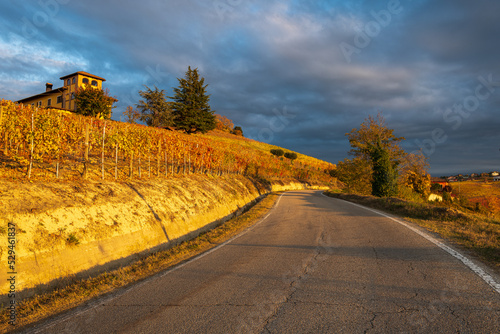 scenic road among the vineyards of the Langhe in autumn, Piedmont, Italy #529461837