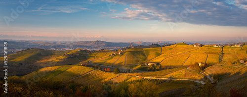 Panorama of Barbaresco vineyards in autumn, Piedmont, Italy photo
